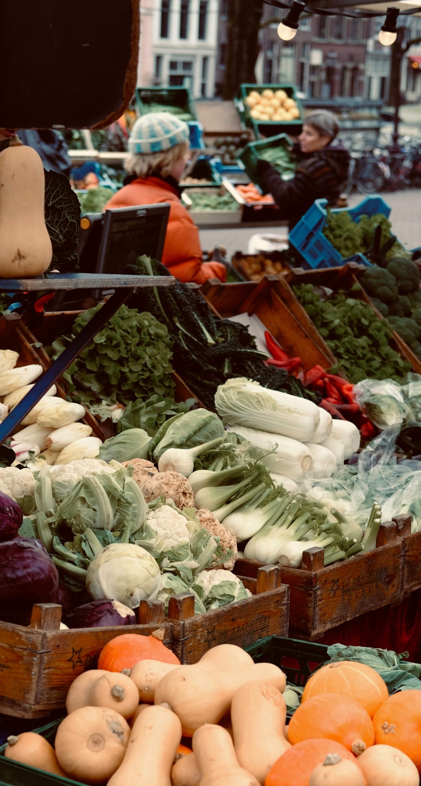 Investment Opportunities in the Freeze-Dried Food Industry